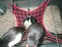 img000.jpeg.small.jpeg