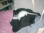 img007.jpeg.small.jpeg