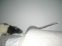 img017.jpeg.small.jpeg
