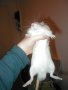 img024.jpeg.small.jpeg