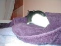 img020.jpeg.small.jpeg