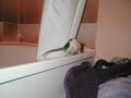 img024.jpeg.small.jpeg