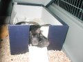 img034.jpeg.small.jpeg
